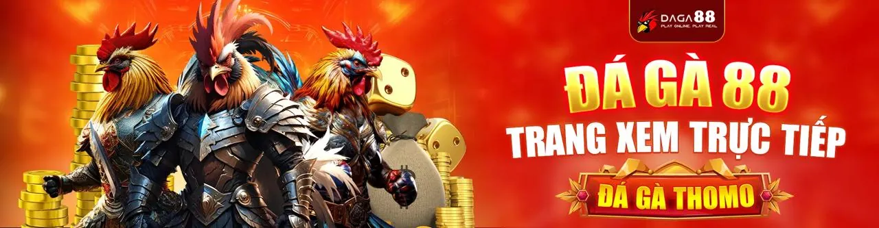 Đá gà trực tuyến kịch tính tại 6623galaxy link mới
